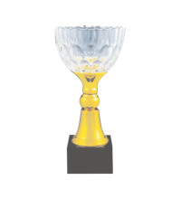 ICT104 Crystal Trophy