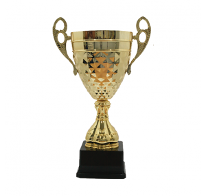 BAW492 Metal Trophy 