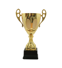 BAW510 Metal Trophy 