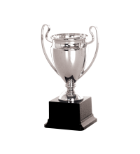 19340S Plastic Trophy